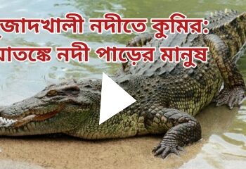 মুজাদখালী নদীতে ঘুরছে কুমির: কুমিরের আক্রমণ থেকে প্রাণে বাঁচলেন দুজন