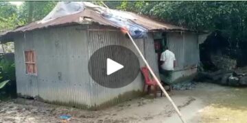 কুড়িগ্রামের ভাঙ্গা টিনের ঘরে জীবনযাপন করছেন বৃদ্ধ দম্পতি: ৬৬ বছর বয়সে পাননি বয়স্ক ভাতা