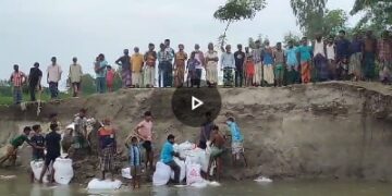 ভূরুঙ্গামারীর কালজানী নদের তীব্র ভাঙ্গন: ঘর বাড়ি-ফসলি জমি রক্ষায় স্বেচ্ছাশ্রমে ভাঙন রোধের চেষ্টা গ্রামবাসীর 