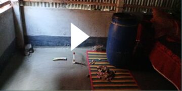 কাউনিয়ায় বসতবাড়ীর ঘরের মেঝেতে অলৌকিক ভাবে ভেসে উঠেছে কবর