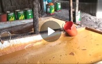 লালপুরে যৌথ বাহিনীর অভিযানে বিপুল পরিমাণ ভেজাল গুড় জব্দ: দুই কারখানার মালিক গ্রেফতার 