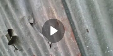 শান্তিগঞ্জে বিএনপি নেতার বাড়িতে আওয়ামী সন্ত্রাসীদের হামলা ও ভাংচুর!